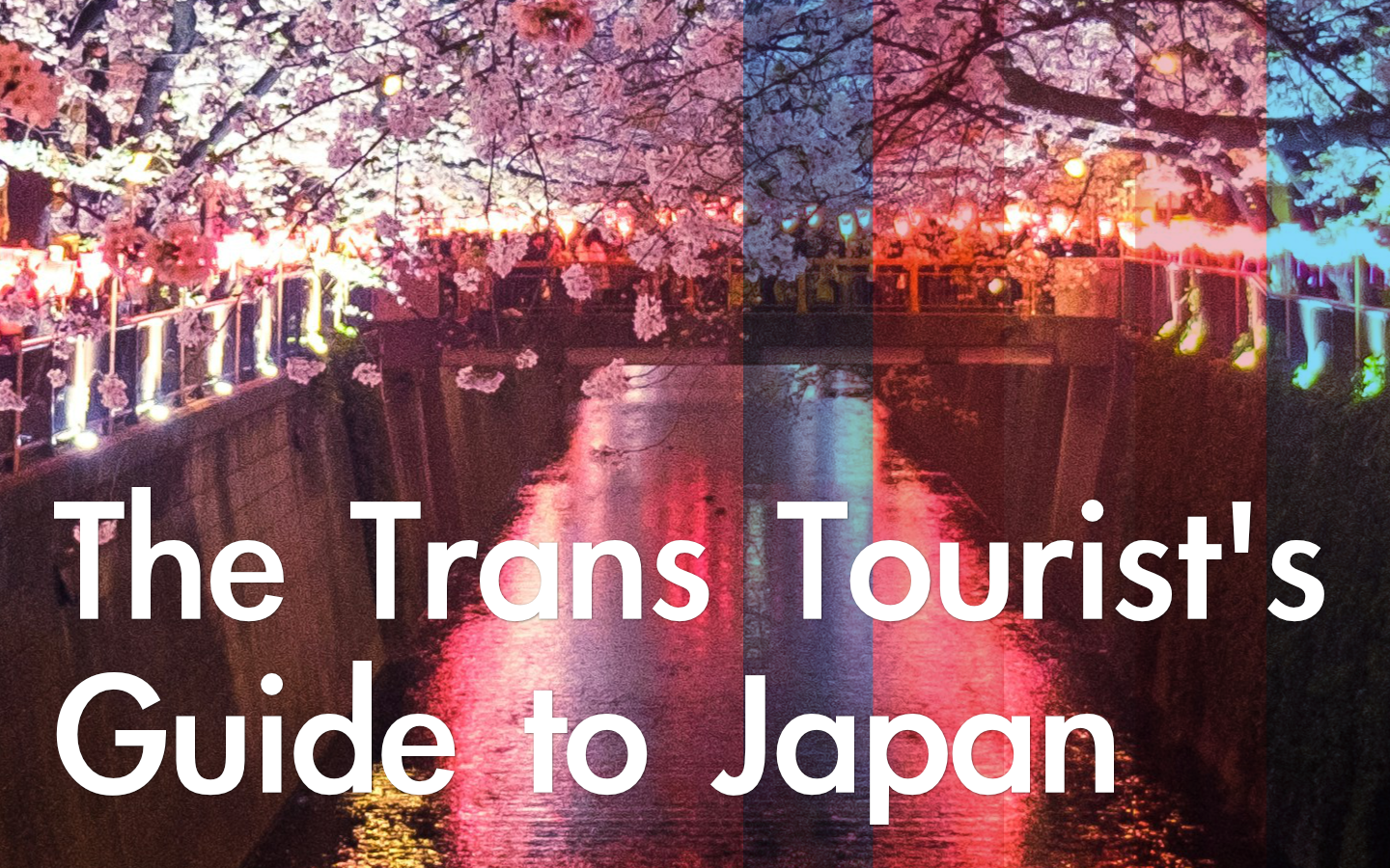 The Trans Tourist's Guide to Japan. Image by Sora Sagano on Unsplash.